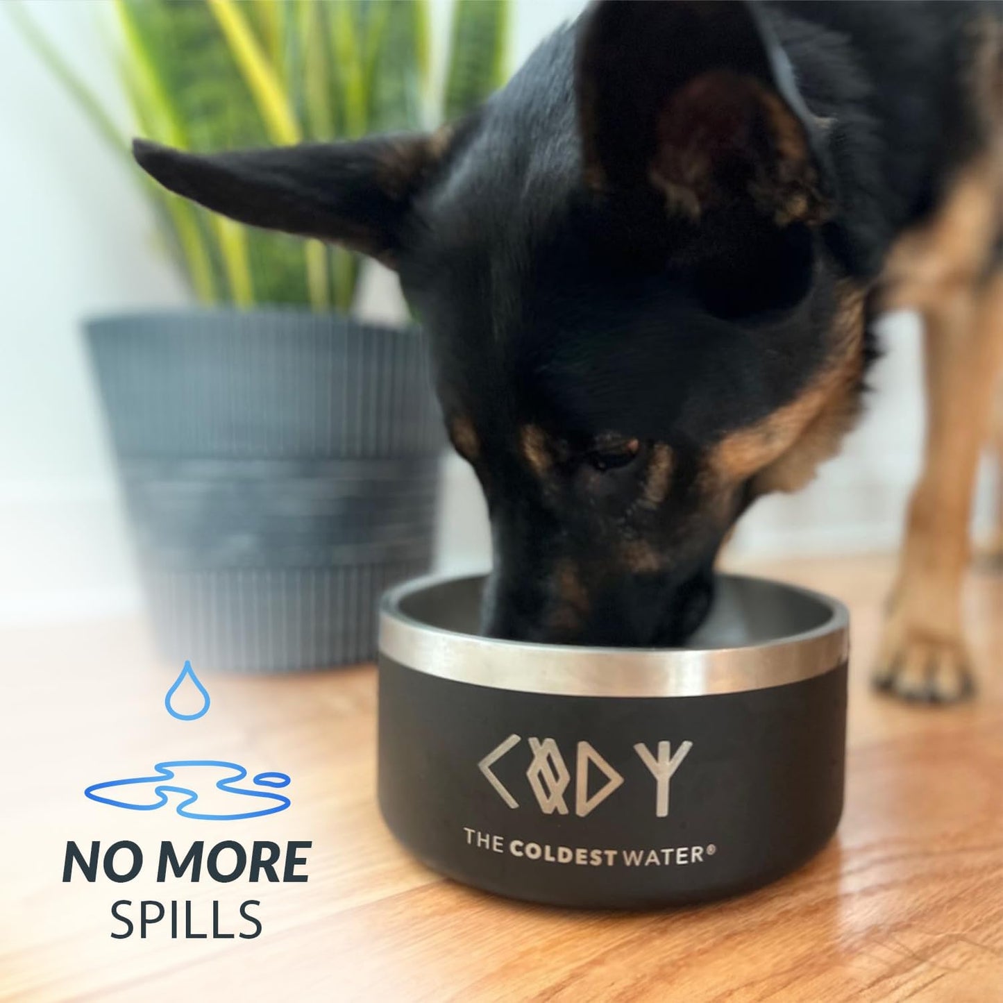 Coldest Dog Bowl, anti Rust Metal & Non Slip Dog Bowls Large, Spill Proof Heavy Duty 3 Layers Insulated Dog Bowl, Food & Water Bowl for Dogs, Cats, Dishwasher Safe (64 Oz, Polished Stainless Steel)