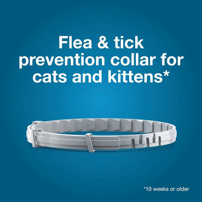 Seresto Cat Vet-Recommended Flea & Tick Treatment & Prevention Collar for Cats | 8 Months Protection