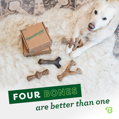 Benebone Medium Holiday 4-Pack Dog Chew Toys for Aggressive Chewers, Made in USA, 60Lbs and under & Tripe Bone Durable Dog Chew Toy for Aggressive Chewers, Real Tripe, Made in USA, Medium