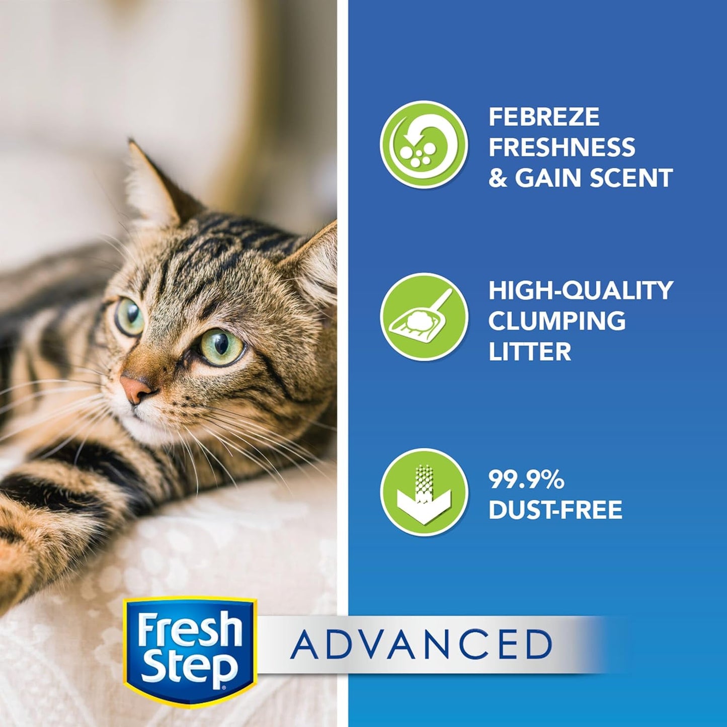 Fresh Step Clumping Cat Litter, with Gain, Advanced, Extra Large, 37 Pounds Total (2 Pack of 18.5Lb Boxes)