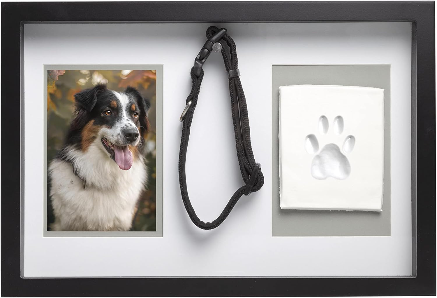 Pearhead Pawprints Collar Frame, Pet Keepsake Photo Frame, Clay Pawprint and Collar Frame, Pet Memorial Picture Frame