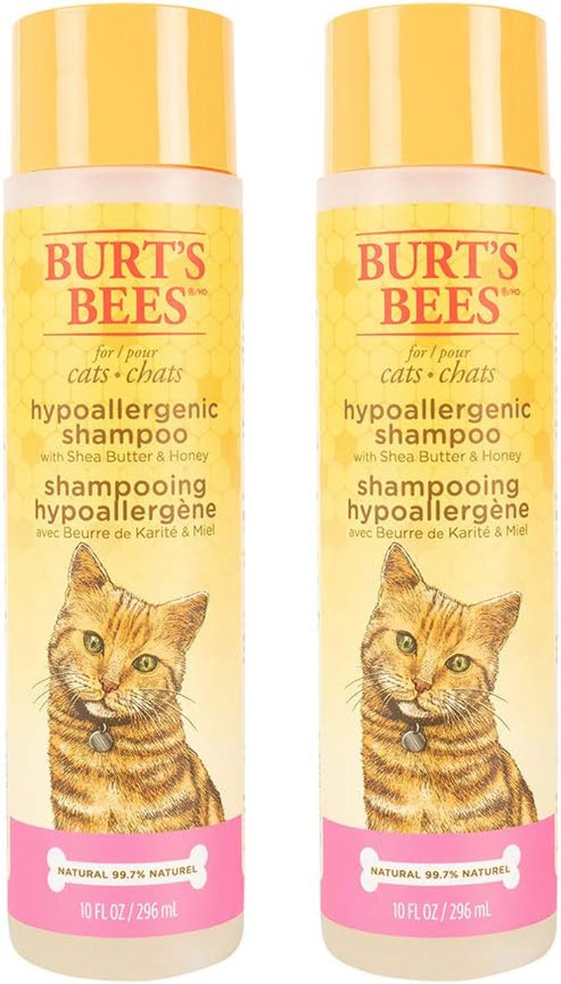 Burt'S Bees for Pets Cat Hypoallergenic Cat Shampoo with Shea Butter & Honey - Best Shampoo for Cats with Dry or Sensitive Skin - Cruelty Free, 10 Fl Oz - 2 Pack