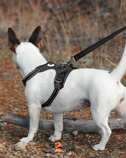 Joytale Dog Leash Heavy Duty for Large Dogs That Pull, Double Handle Dog Leash for Traffic Control, Double-Sided Reflective Leash for Night Safety, Dog Leash for Large Medium Dogs, 4FT, Hot Pink