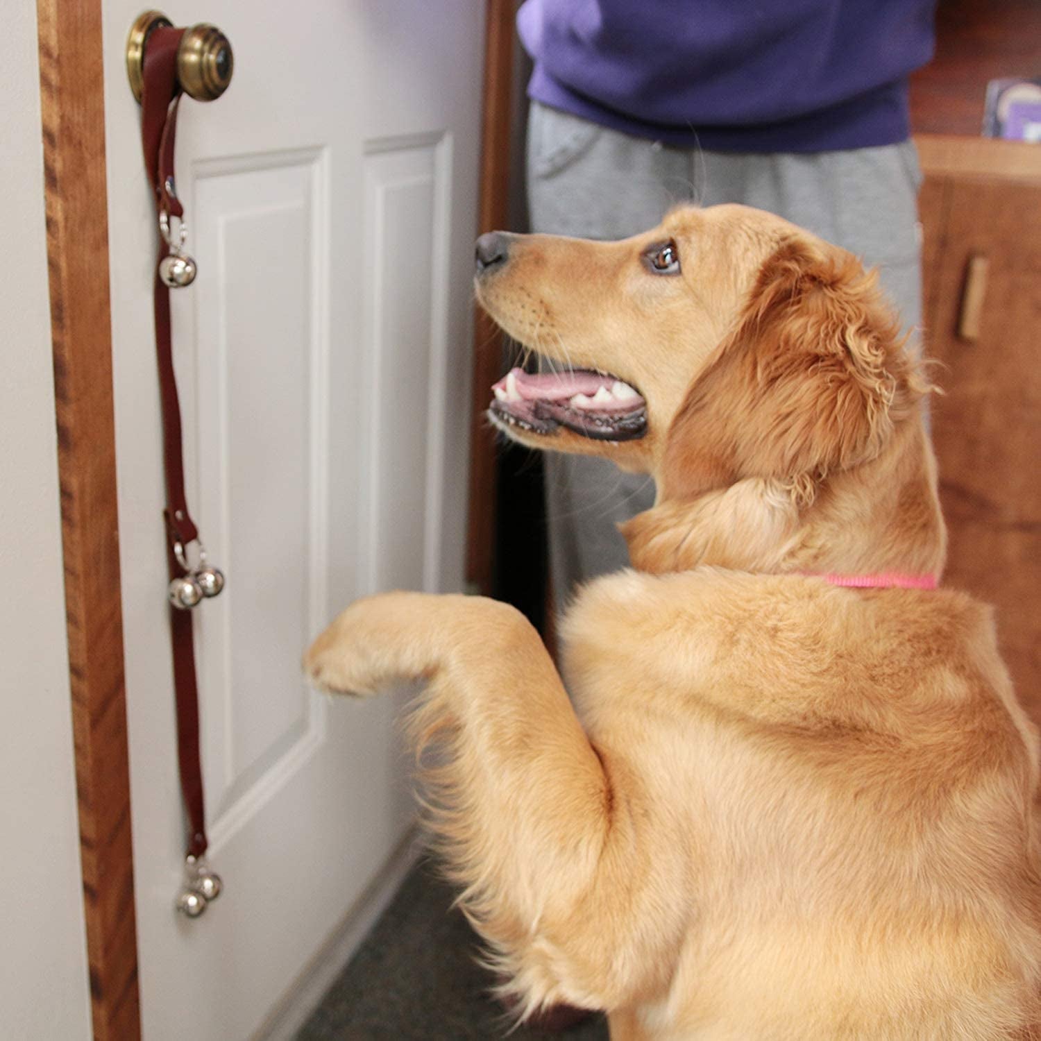 Leather Dog Doorbells for Door Knob/Potty Training/Go Outside, Length Adjustment Copper Dog Bell, Housetraining Hanging Bell, White Leather Golden Bells.