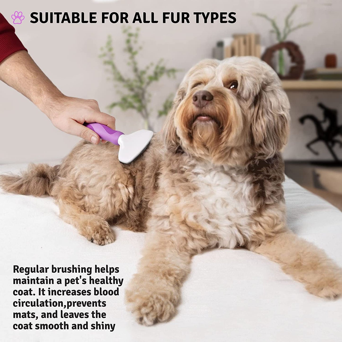 Poodle Pet Slicker Brush - For Dogs, Cats, Rabbits - Matted/Loose Fur, Knots - Suitable for Doodle/Goldendoodle Grooming and Shredding Short/Long Hair