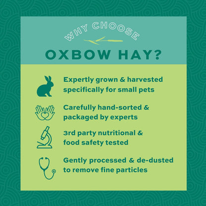 Oxbow Animal Health Western Timothy Hay - All Natural Hay for Rabbits, Guinea Pigs, Chinchillas, Hamsters & Gerbils-Veterinarian Recommended- Digestive & Dental Health- Grown in the USA- 9lb.