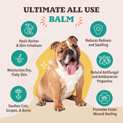 Natural Dog Company Dog Skin Soother Balm, 4 oz. Tin, Itch Relief and Moisturizer for Winter Dry Skin, with Coconut Oil, Calendula, & Vitamin E, Healing Balm for Paws & Noses, Lick Safe