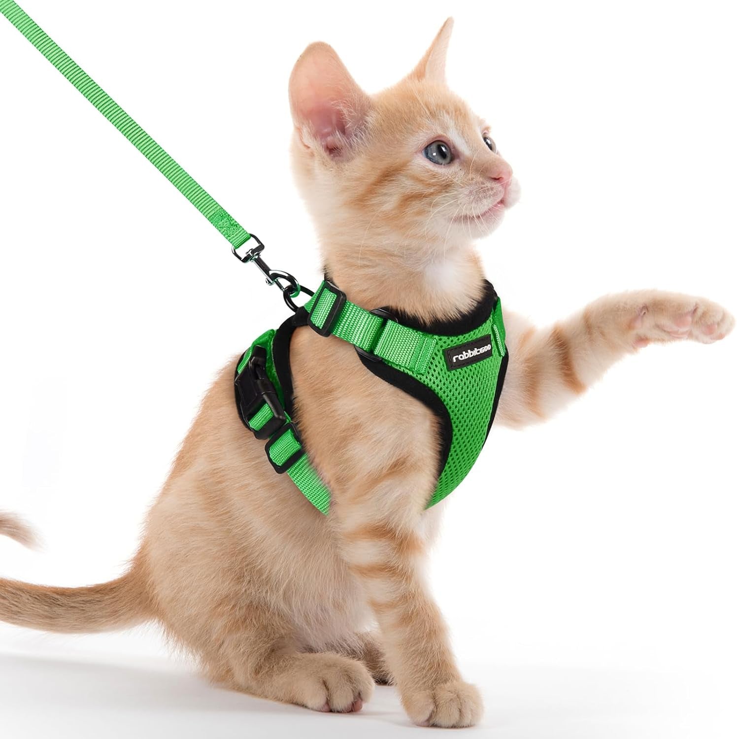 Rabbitgoo Cat Harness and Leash for Walking, Escape Proof Soft Adjustable Vest Harnesses for Cats, Easy Control Breathable Reflective Strips Jacket, Grass Green, XXS