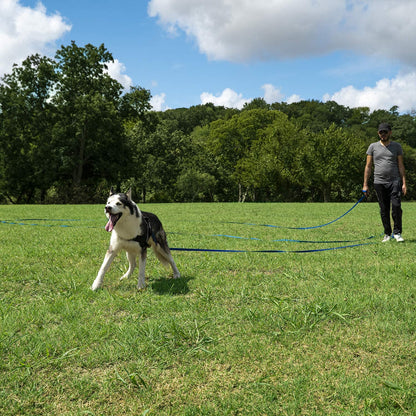 HIKISS Long Dog Leash Obedience Recall Training Agility Lead with Thickening Material for Large Dog - 15Ft 20Ft 30Ft 50Ft 100Ft Training Leash(Purple 20Ft)