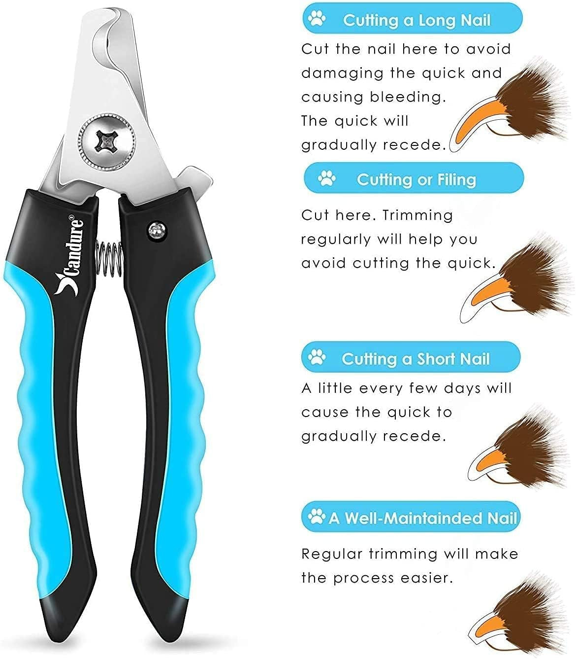 Candure Dog Nail Clippers Professional Pet Nail Clipper Suitable for Large to Medium Dogs, Cats, Rabbits and Guinea Pigs - Safety Lock/Protective Guard to Avoid over Cutting