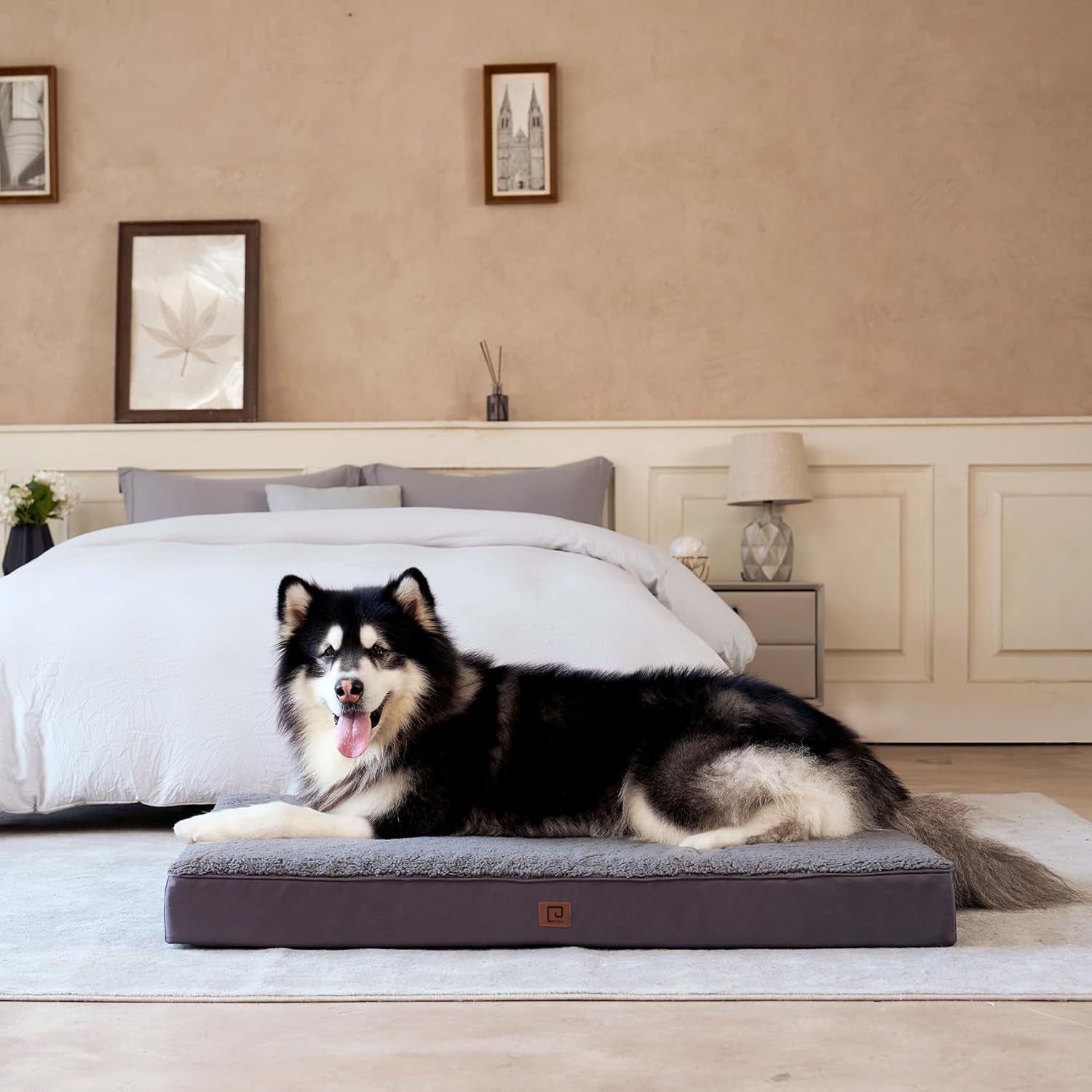 EHEYCIGA Orthopedic Dog Beds for Large Dogs with Removable Washable Cover, Light Grey, 36X27