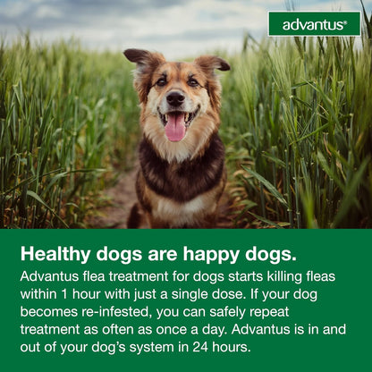 Dog Advantus Chewable Flea Treatment for Dogs 4 - 22 Lbs. | 7 Ct.