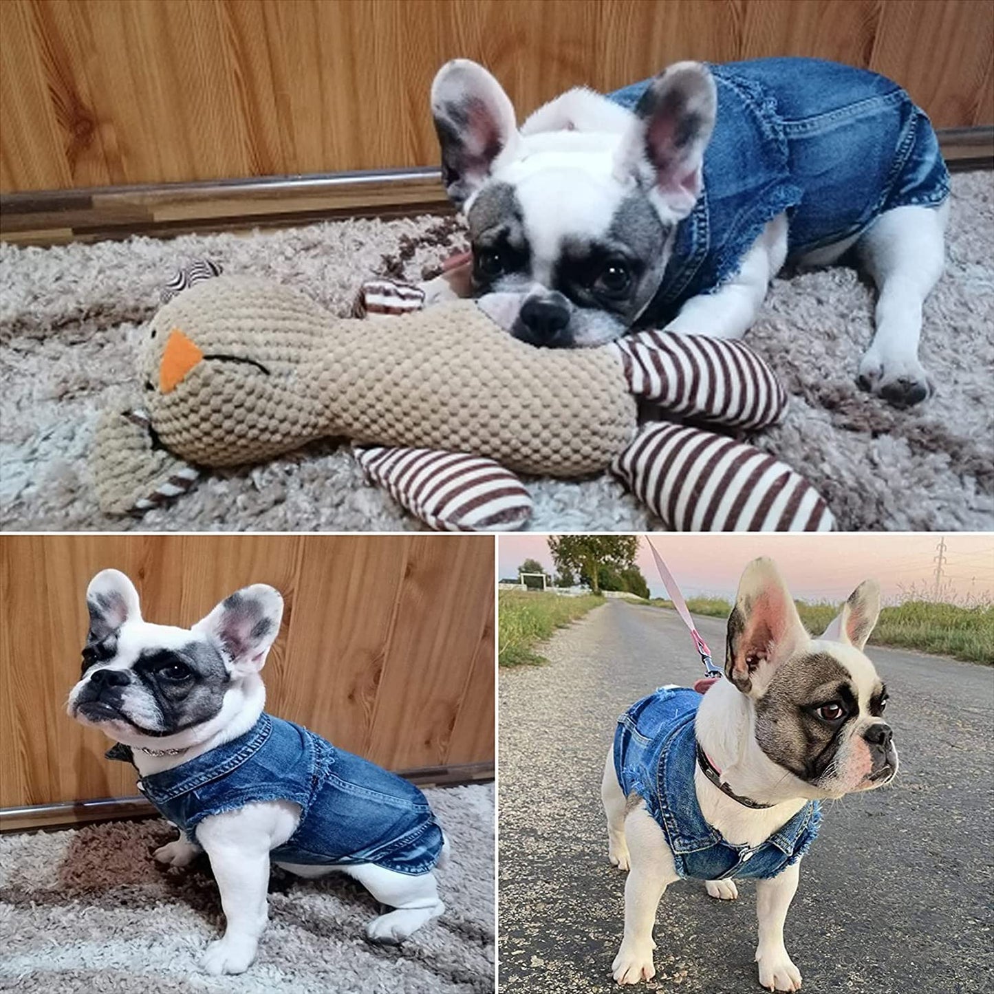 Dog Jean Jacket, Blue Denim Lapel Vest Coat T-Shirt Costume Cute Girl Boy Dog Puppy Clothes, Comfort and Cool Apparel, for Small Medium Dogs Cats, Machine Washable Dog Outfits (XXL, Blue)