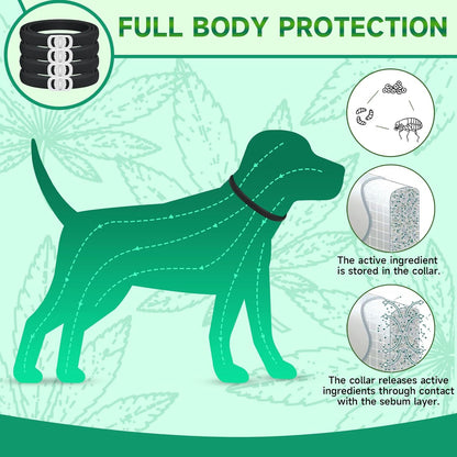 4 Pack Flea Collar for Cats, Cat Flea and Tick Treatment, 8 Months Protection Flea and Tick Prevention for Cats, Waterproof Cat Flea Collar, Adjustable Cat Flea and Tick Collar for Cats Kittens, Grey