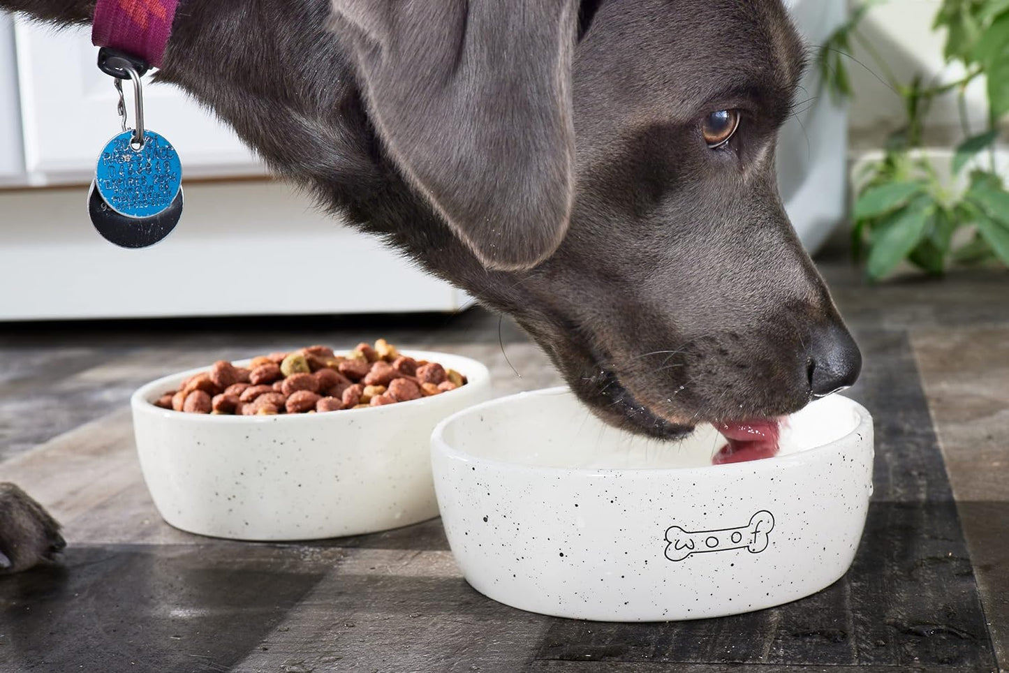 Pearhead Gray Dog Faces Pattern Ceramic Dog Bowl, Medium Water and Food Dish, Microwave and Dishwasher Safe, Pet Owner Essentials, Holds 2 Cups