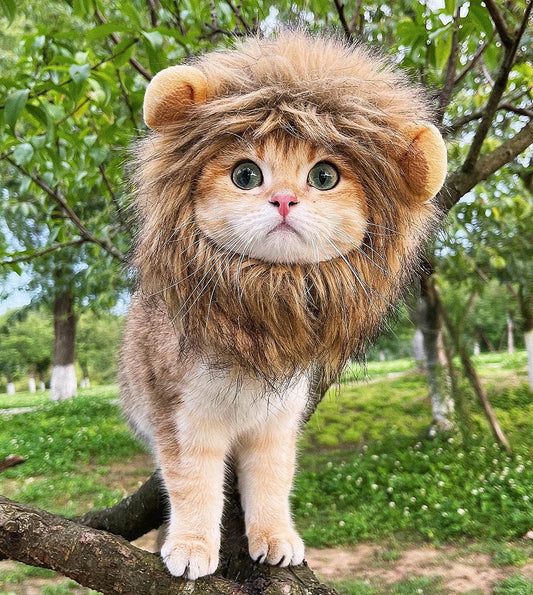 Lion Mane Wig for Cat Costume Pet Adjustable Washable Comfortable Fancy Lion Hair Cat Clothes Dress for Halloween Christmas Easter Festival Party Activity (Small, Brown)