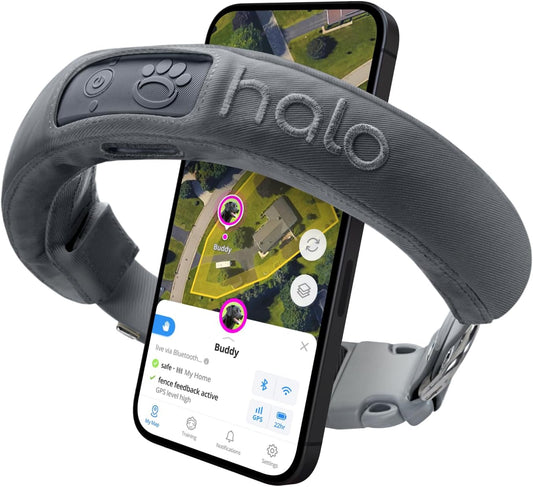 Halo Collar 3 - GPS Dog Fence - Multifunction Wireless Dog Fence & Training Collar with Real-Time Tracking & GPS - Waterproof, Instantly Create and Store Wireless Fences (Small, Graphite)