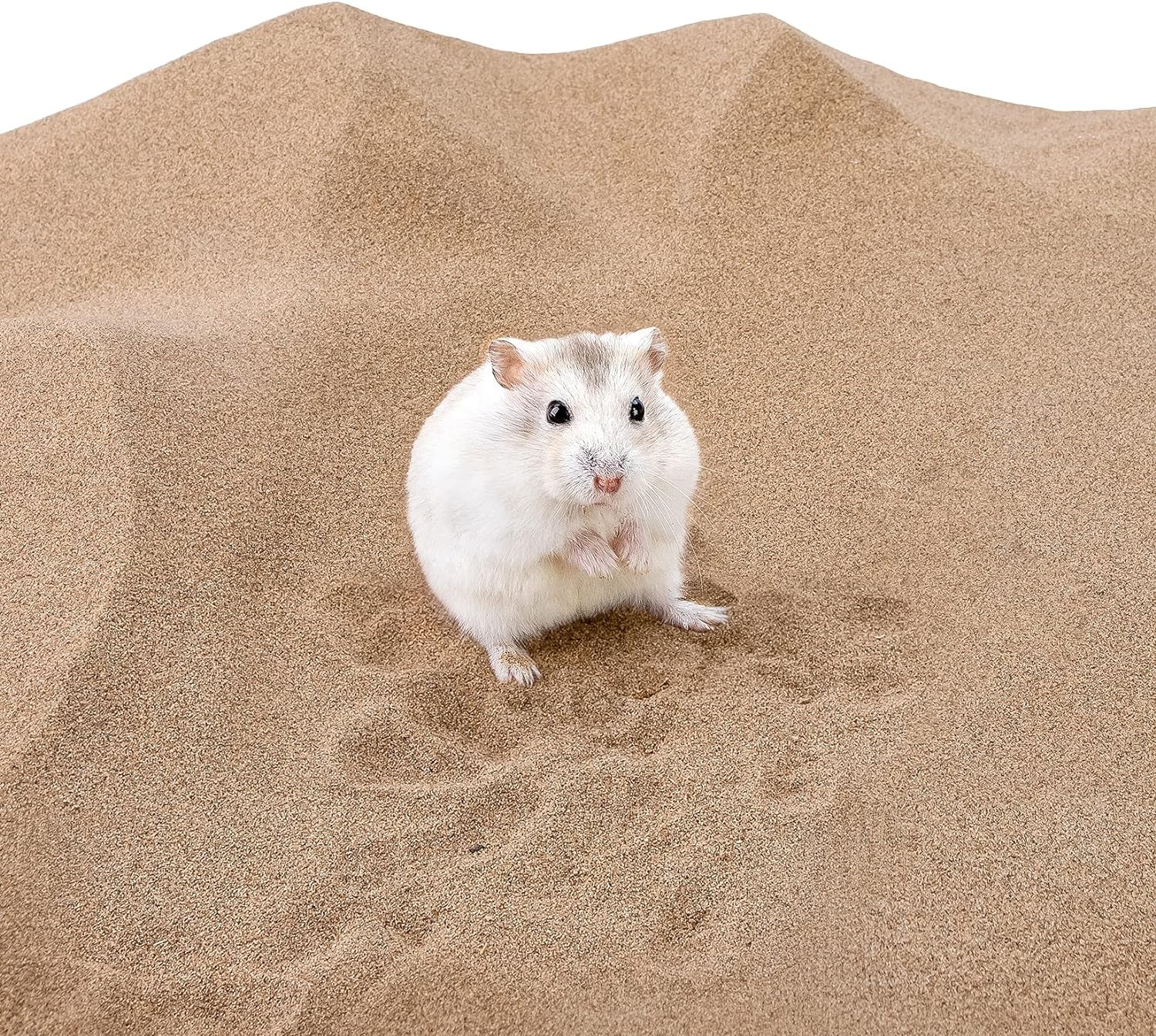 Niteangel Hamster Desert Bath Sand | No-Dust Bath or Potty Litter Sand for Hamster Chinchillas Gerbil Mice Degu or Other Small Pets (2.5LB, Desert Sand)