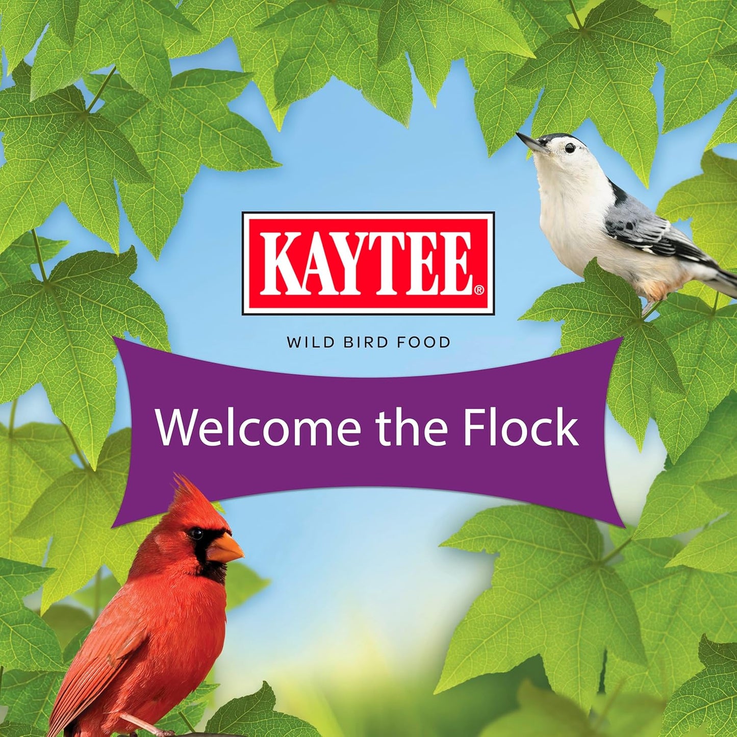 Kaytee Nut and Fruit Blend, Premium Wild Bird Food, Specially Blended for Colorful Songbirds