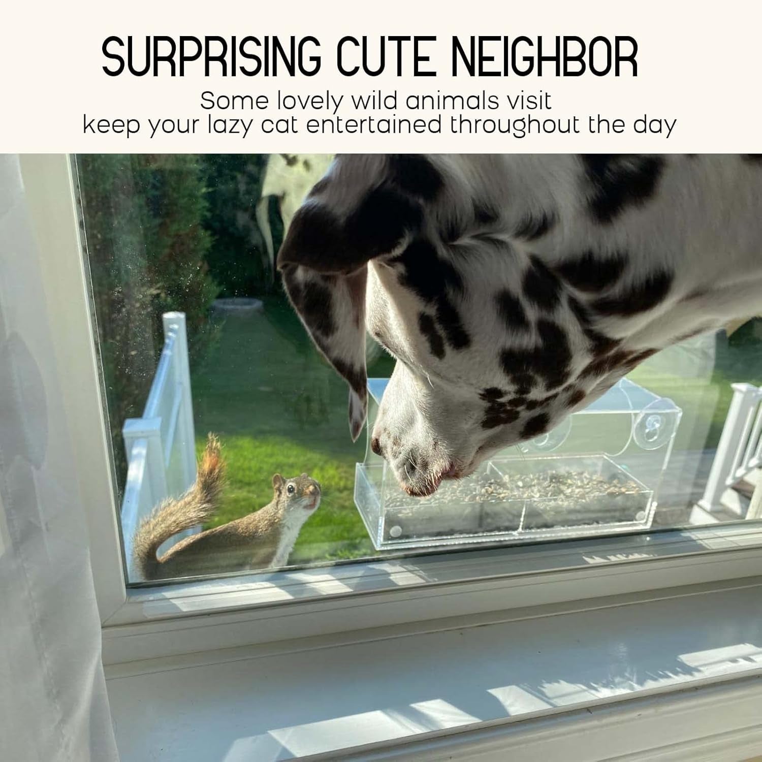 MrCrafts Window Bird Feeder for Outside with Strong Suction Cups, Fits for Cardinals, Finches, Chickadees etc