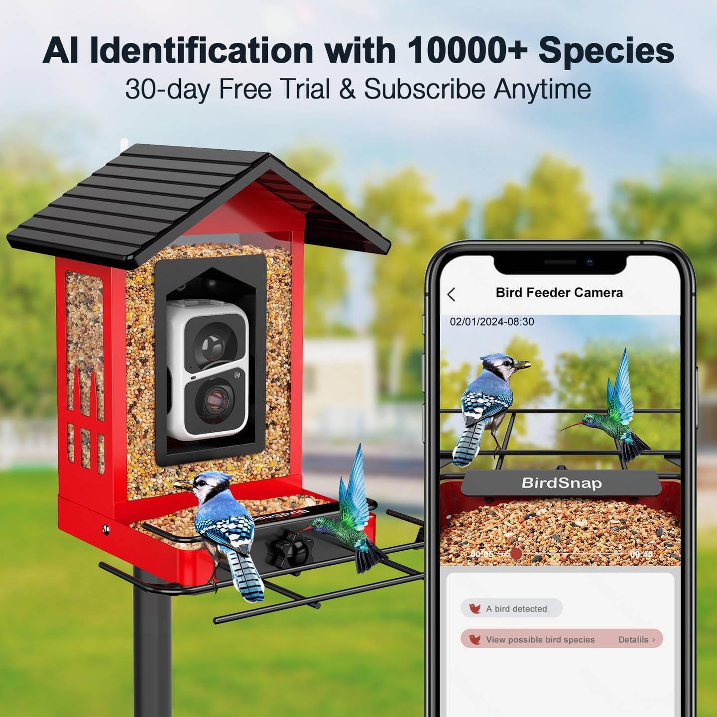birdsnap® APS - Metal Bird Feeder with Camera Solar Panel 32GB Card, AI Identify 10000+ Birds Camera Feeder, 2K HD Live View Auto Record Bird Video, Ideal Xmas Gift for Bird Lovers
