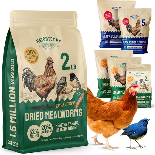 2 lbs Dried Mealworms for Birds – Premium Non-GMO Organic Bird Food for Outside Wild Birds – High Protein Meal Worms, Dried for Birds Feeder – Mealworms for Blue Birds, Reptiles & Turtles