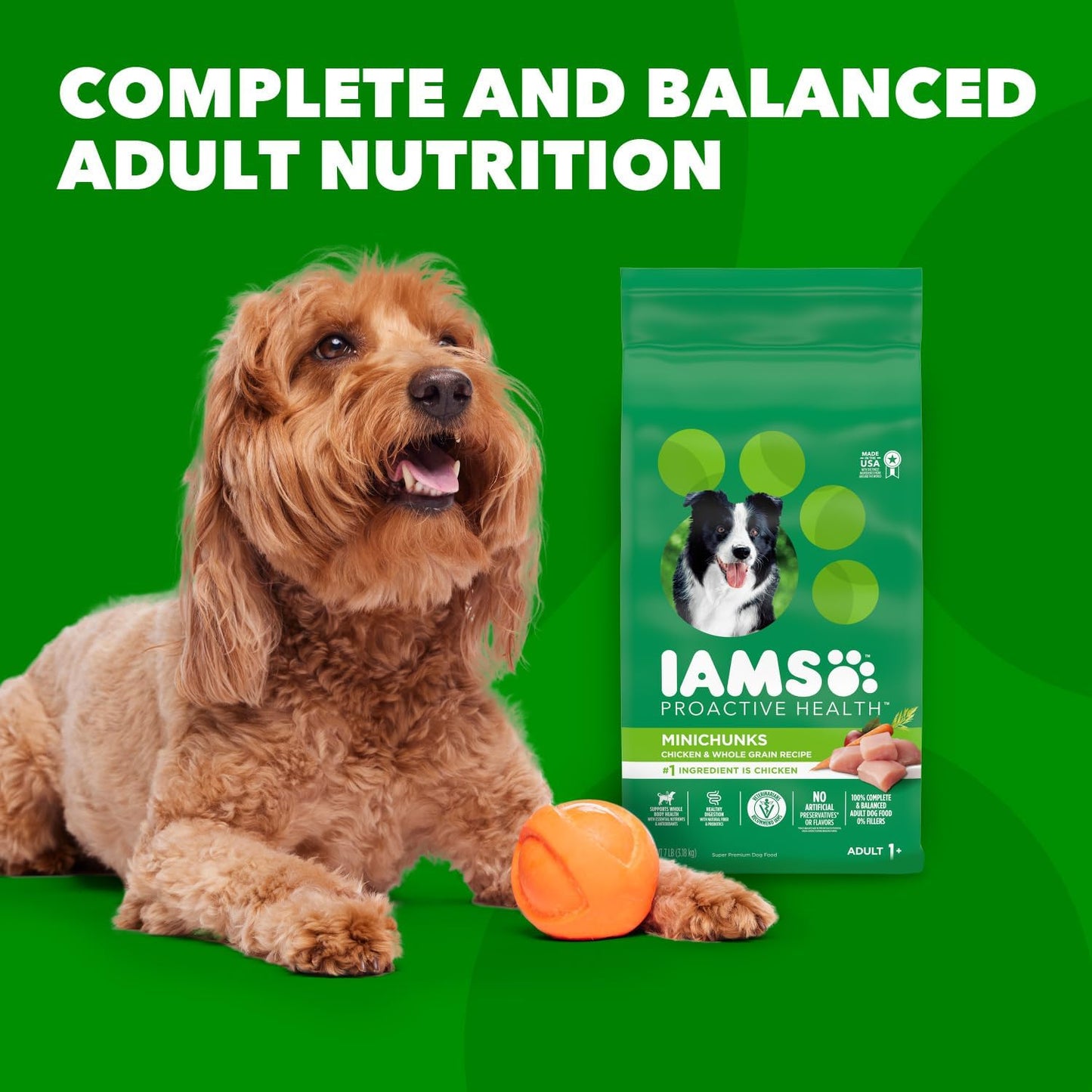 IAMS Proactive Health Minichunks Adult Dry Dog Food with Real Chicken and Whole Grains, 30 Lb. Bag