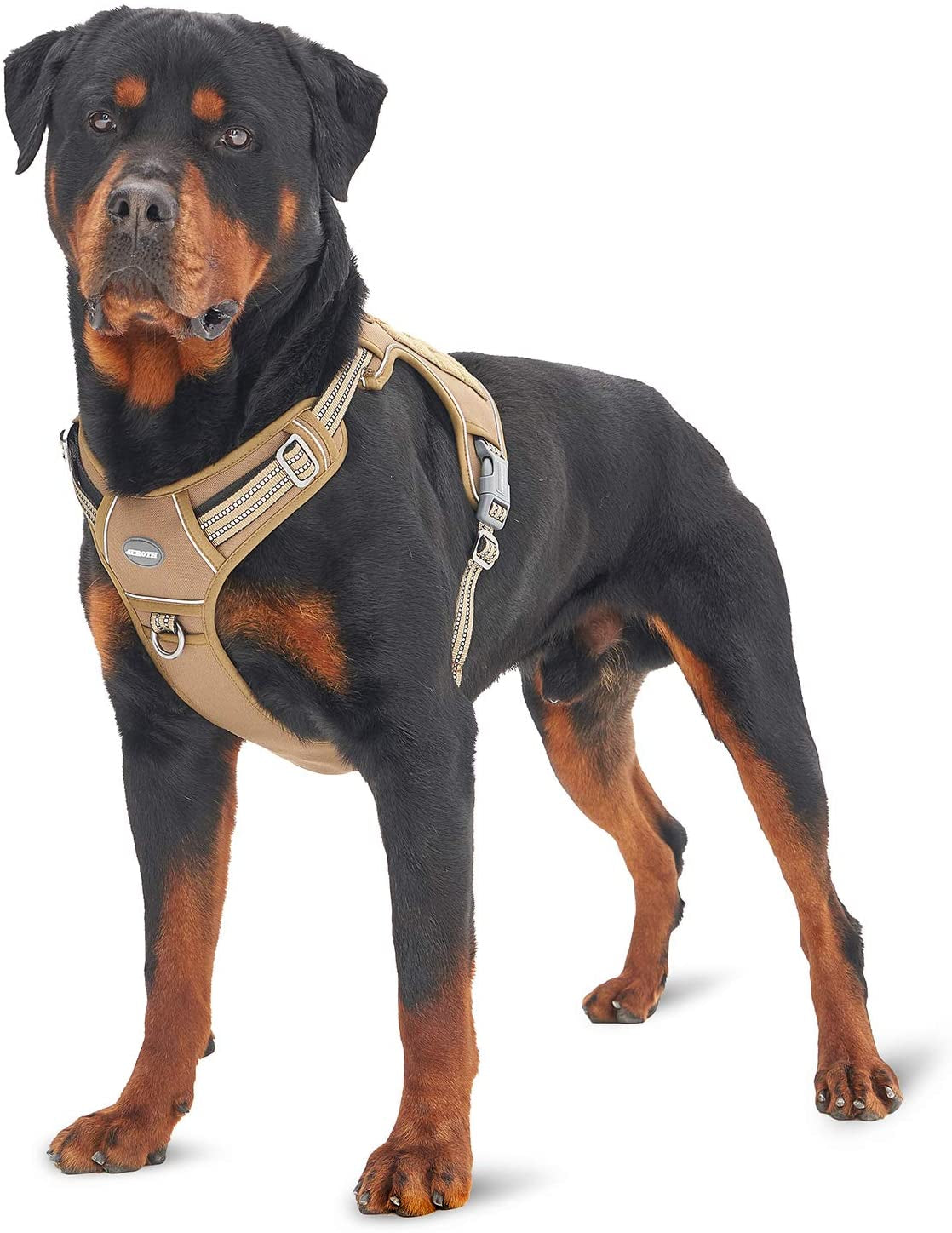 AUROTH Dog Harness Medium Sized Dog, Dog Vest Harness Medium Size Dog, Medium Dog Harness, No Pull Dog Harness for Medium Dogs with Handle, Black M