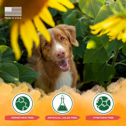 Tropiclean Soothing Natural Flea and Tick Dog Shampoo | Natural Flea and Tick Prevention for Dogs | Made in the USA | 1 Gallon