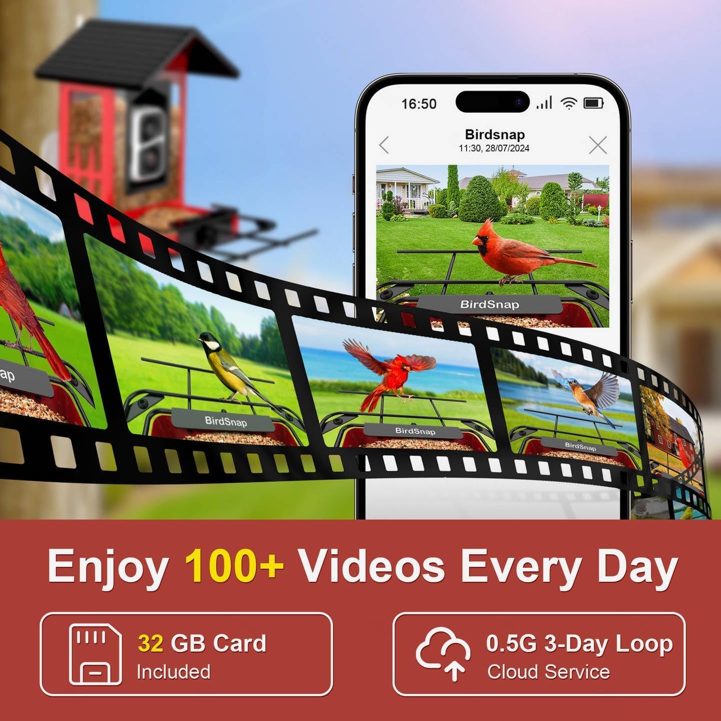 birdsnap® APS - Metal Bird Feeder with Camera Solar Panel 32GB Card, AI Identify 10000+ Birds Camera Feeder, 2K HD Live View Auto Record Bird Video, Ideal Xmas Gift for Bird Lovers