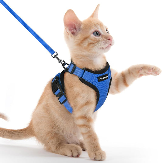 Rabbitgoo Cat Harness and Leash for Walking, Escape Proof Soft Adjustable Vest Harnesses for Cats, Easy Control Breathable Reflective Strips Jacket, Navy Blue, XXS