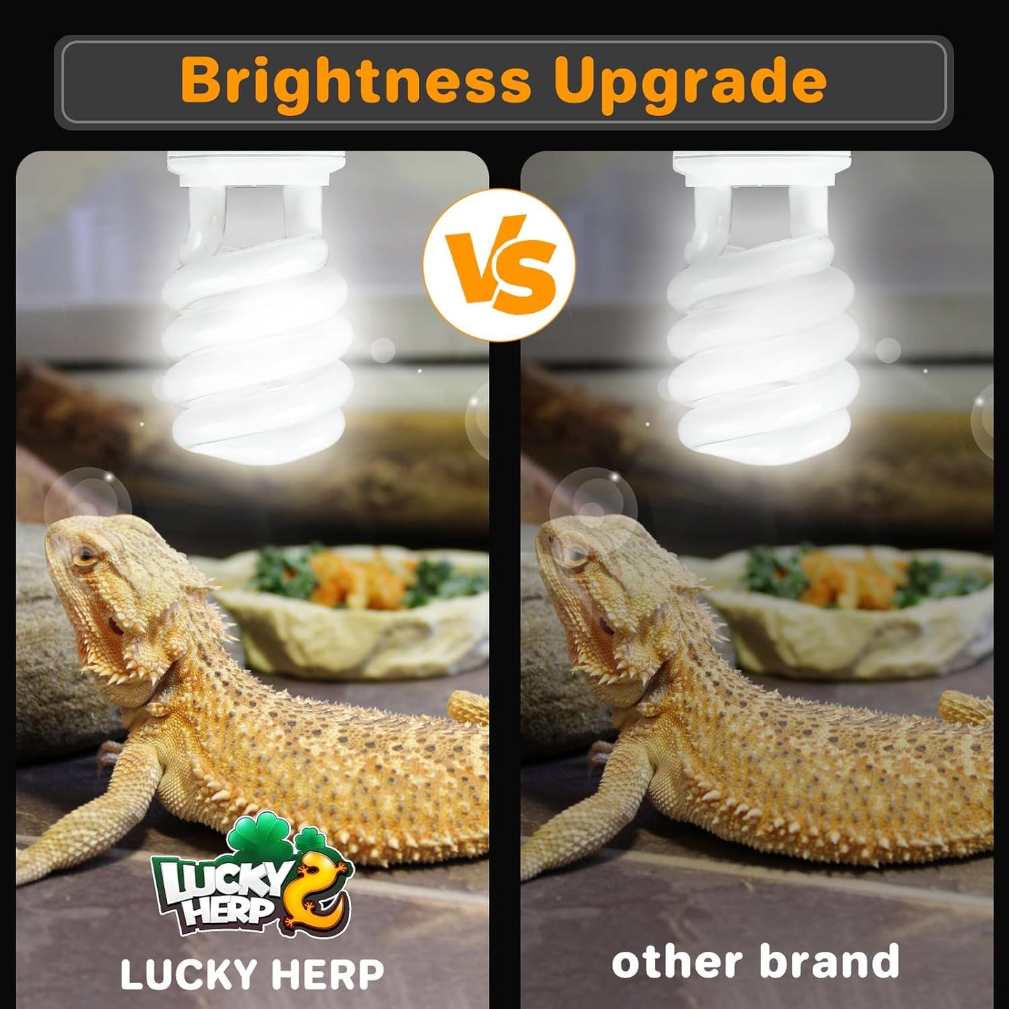 LUCKY HERP UVA UVB Reptile Light 10.0, Desert UVB 150 Compact Fluorescent Lamp, UVB Light for Reptiles 23W, UVA UVB Reptile Light Bulb, UVB Bulb for Reptiles Bearded Dragons Lizards Tortoises Snakes