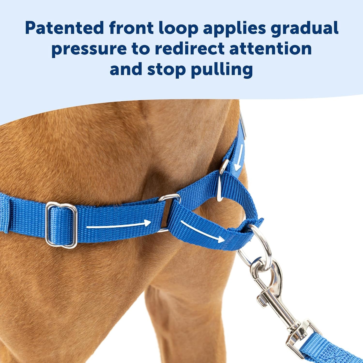 Petsafe Easy Walk No-Pull Dog Harness - the Ultimate Harness to Help Stop Pulling - Take Control & Teach Better Leash Manners - Helps Prevent Pets Pulling on Walks - Small/Medium, Apple Green/Gray