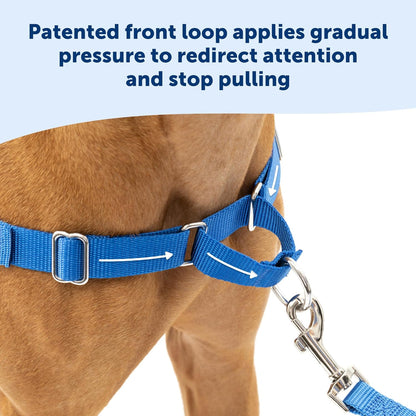 Petsafe Easy Walk No-Pull Dog Harness - the Ultimate Harness to Help Stop Pulling - Take Control & Teach Better Leash Manners - Helps Prevent Pets Pulling on Walks - Small/Medium, Royal Blue/Navy Blue