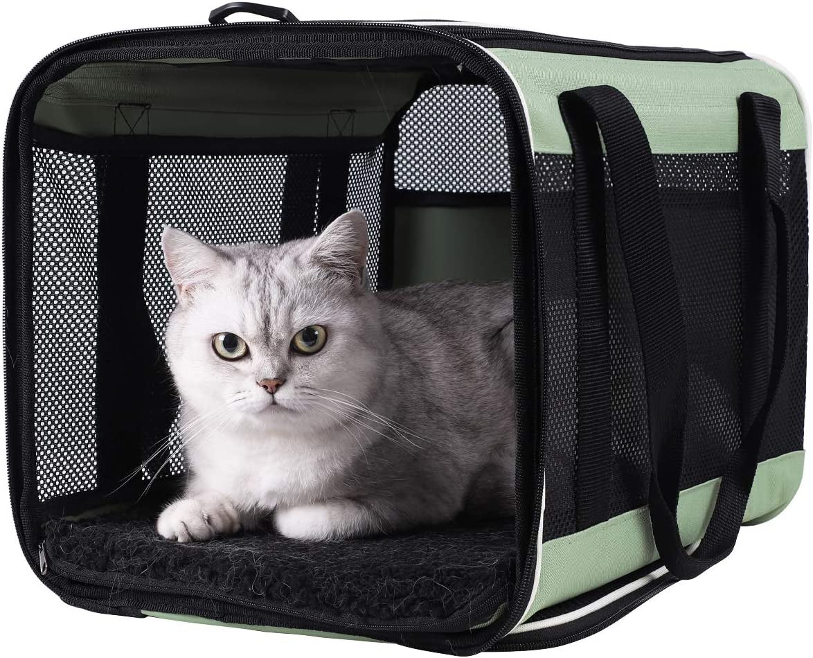 Petisfam Easy Load Pet Carrier for Large, Medium Cats, 2 Cats and Small Dogs with Comfy Bed. Easy to Get Cat In, Escape Proof, Easy Storage, Washable, Safe and Comfortable for Vet Visit and Car Ride