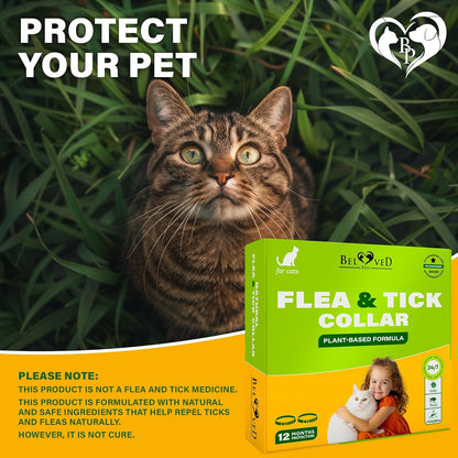 Natural Flea & Tick Collar for Cats - 12 Months Control of Best Prevention & Safe Treatment - anti Fleas and Ticks Essential Oil Repellent (1 Pack)