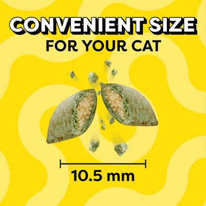 TEMPTATIONS Classic Crunchy and Soft Cat Treats Blissful Catnip Flavor, 16 Ounce (Pack of 1)