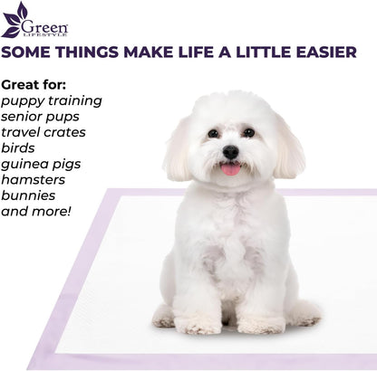 GREEN LIFESTYLE Washable Underpads - Large Bed Pads for Use as Incontinence Bed Pads, Reusable Pet Pads, Great for Dogs, Cats, Bunny, Seniors Bed Pad (Pack of 2 - 41X41)