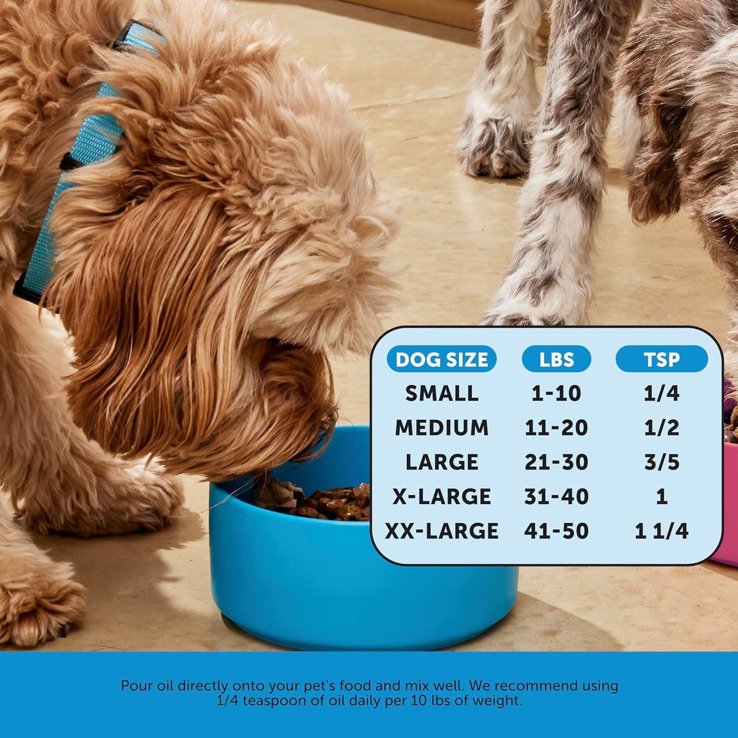 Pet Honesty Dog Skin and Coat Supplement with Salmon Oil for Dogs - Allergy Itch Relief + Skin & Coat Health, Dog Food Topper Bone Broth with Salmon Oil, Collagen, Biotin + Vitamin E (12 Oz)