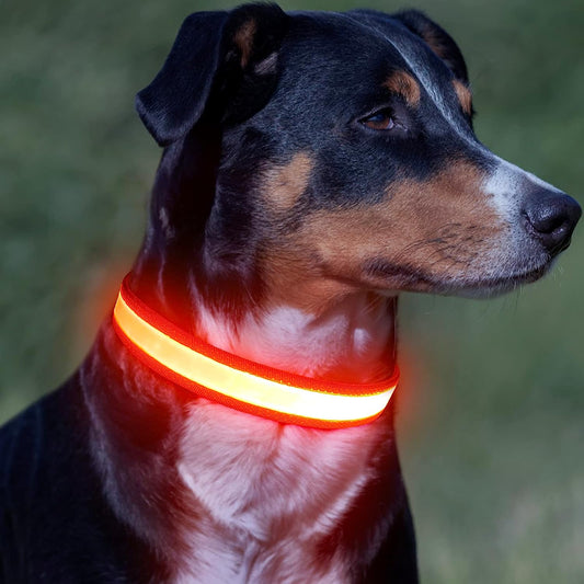 LED Dog Collar, Light up Dog Collar Adjustable USB Rechargeable Super Bright Safety Light Glowing Collars for Dogs(X-Large,Orange)