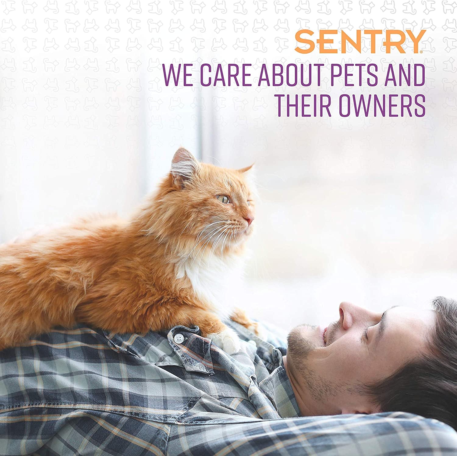 SENTRY PET Care Sentry Calming Collar for Cats, Long-Lasting Pheromone Collar Helps Calm Cats for 30 Days, Reduces Stress, Helps Calm Cats from Anxiety, Loud Noises, and Separation, 3 Count