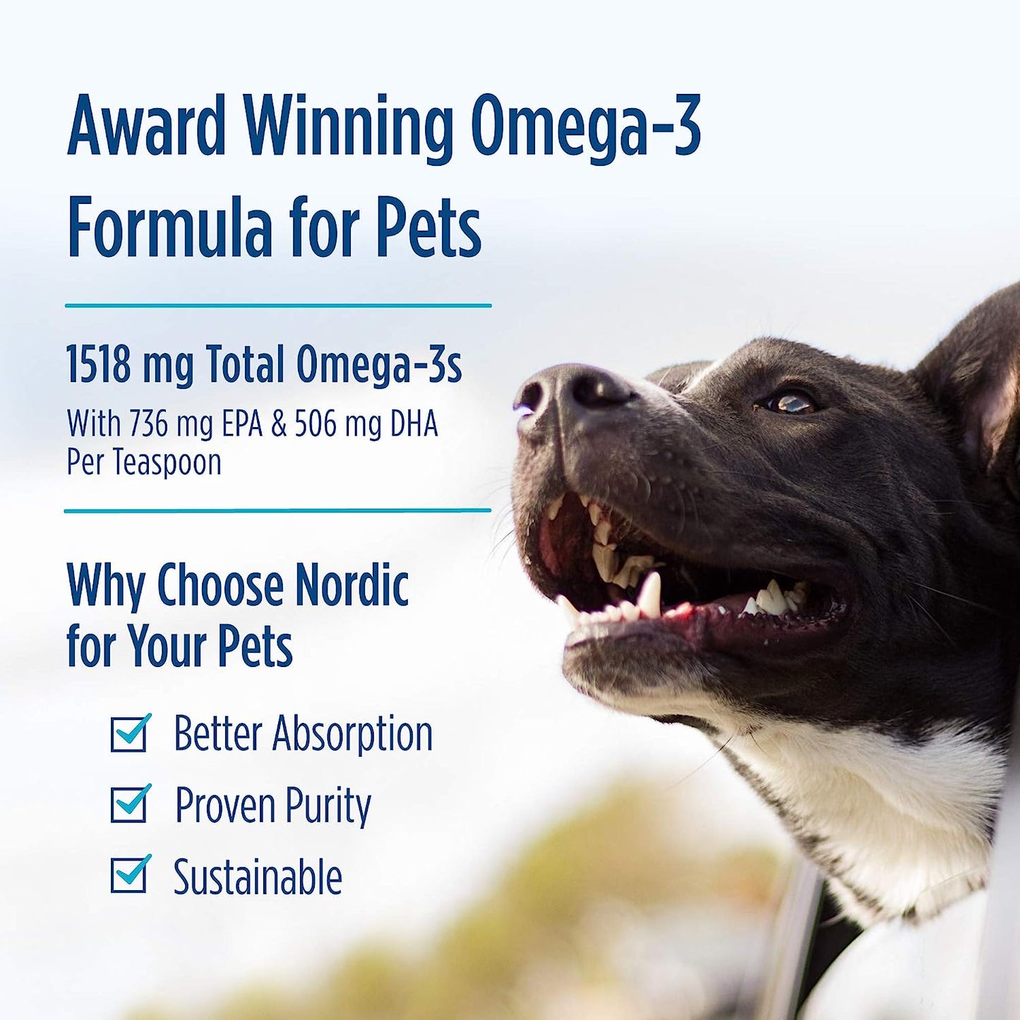 Nordic Naturals Omega-3 Pet, Unflavored - 2 Oz - 304 Mg Omega-3 per One Ml - Fish Oil for Small Dogs & Cats with EPA & DHA - Promotes Heart, Skin, Coat, Joint, & Immune Health