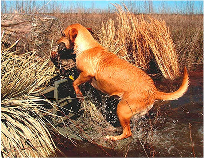 GREAT DAY Load-A-Pup HD 14X20In Robust Safety Pet Loading Platform - for the Hunting Dog - Earth-Tone Gray Powder-Coated Finish - Intended for Use in Fresh Water, LP500HD