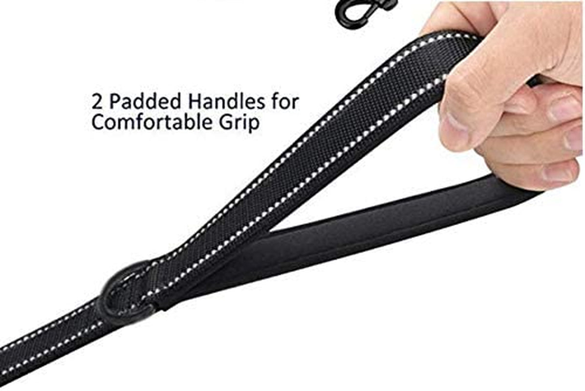 Heavy Duty Dog Leash - 2 Handles by Padded Traffic Handle for Extra Control, 6Foot Long - Perfect for Medium to Large Dogs (6 Ft, Black Red)