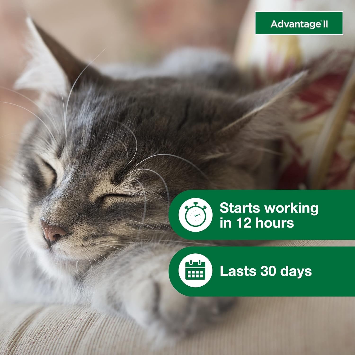 Advantage II Small Cat Vet-Recommended Flea Treatment & Prevention | Cats 5-9 Lbs. | 1-Month Supply