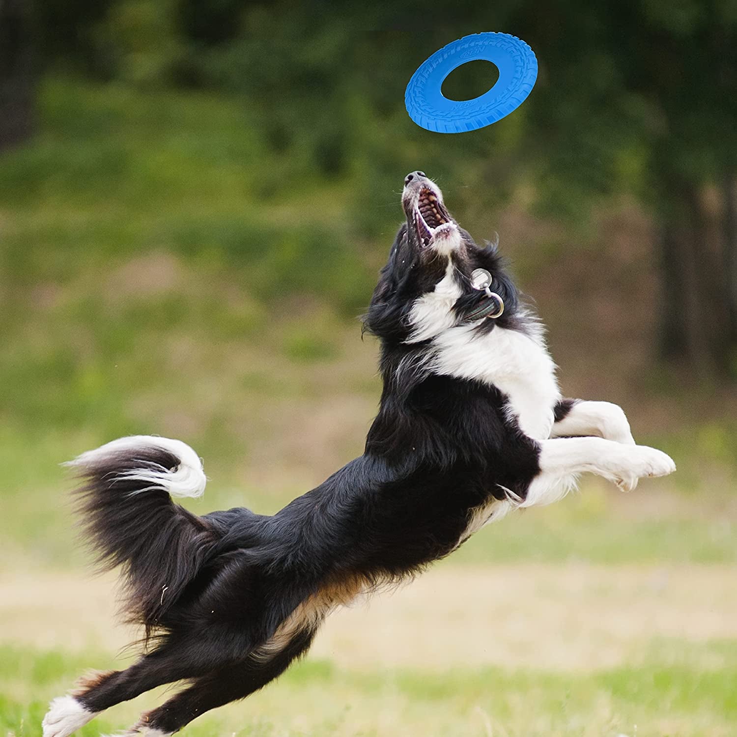 Nerf Dog Rubber Tire Flyer Dog Toy, Flying Disc, Lightweight, Durable, Floats in Water, Great for Beach and Pool, 10 Inch Diameter, for Medium/Large Breeds, Single Unit, Blue, Original