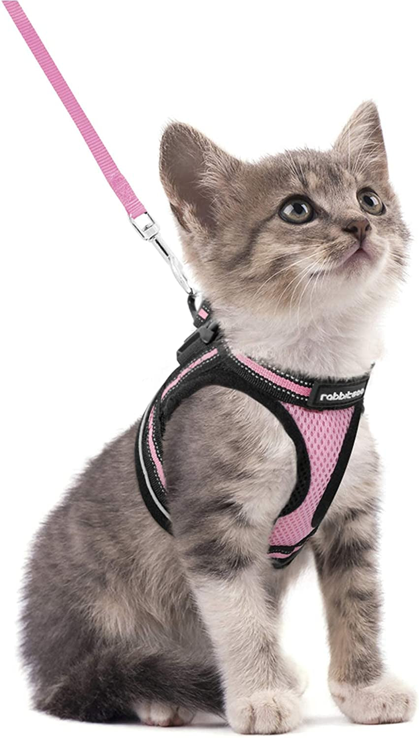 Rabbitgoo Cat Harness and Leash Set for Walking Escape Proof, Adjustable Soft Kittens Vest with Reflective Strip for Cats, Comfortable Outdoor Vest, Black, L