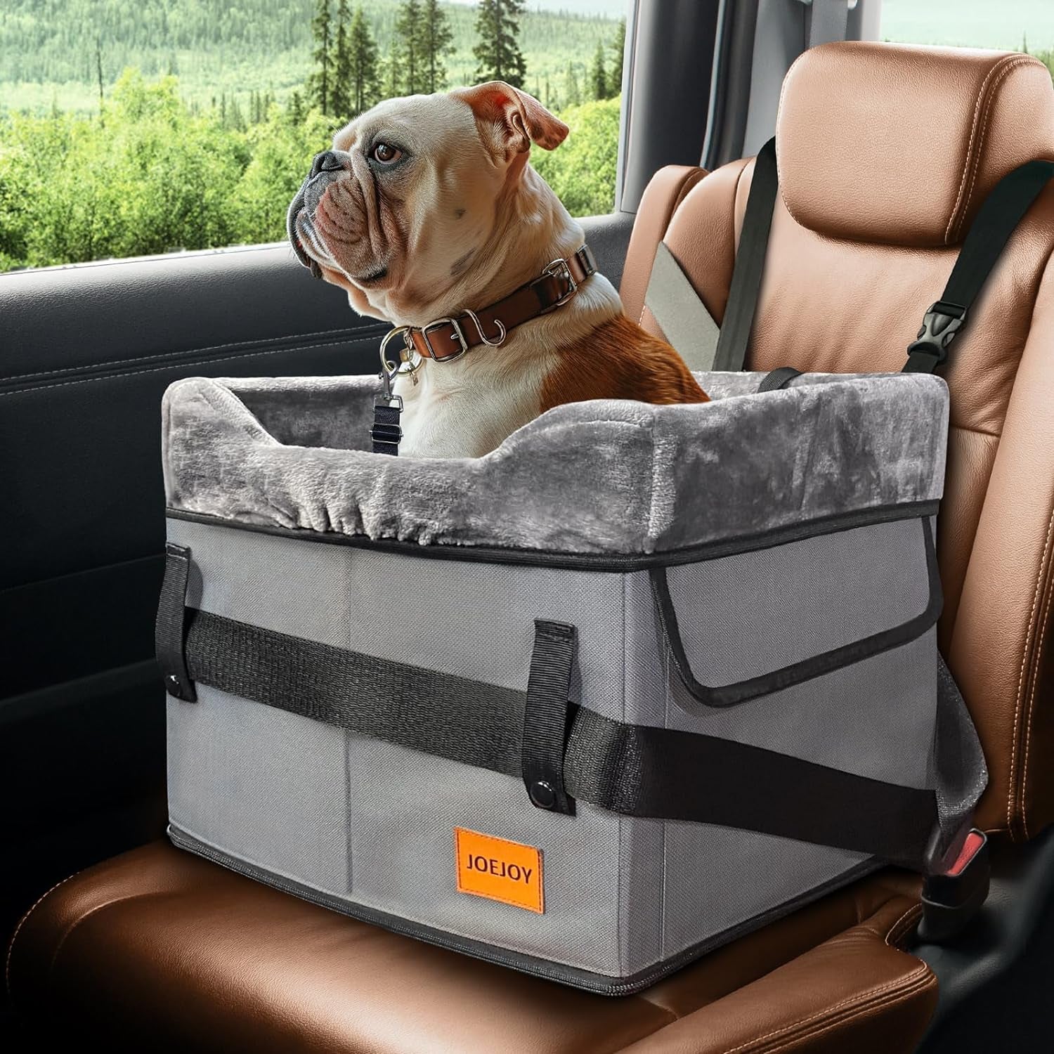 JOEJOY Small Dog Car Seat for Small Dogs, Portable Puppy Dog Booster Seat for Car with Clip-On Safety Leash, Adjustable Straps Perfect for Small Pets up to 25Lbs (Grey)