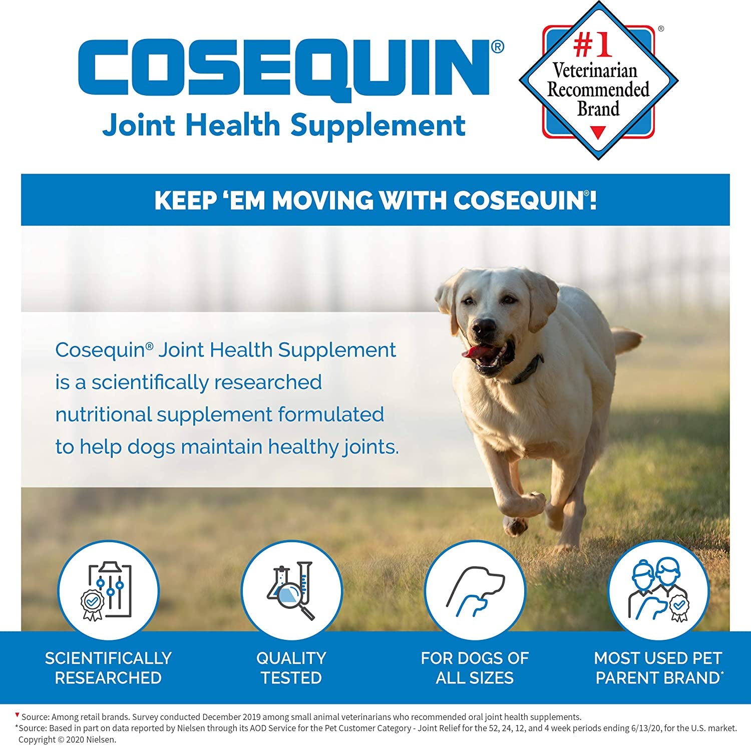Cosequin Senior Joint Health Supplement for Senior Dogs - with Glucosamine, Chondroitin, Omega-3 for Skin and Coat Health and Beta Glucans for Immune Support, 60 Soft Chews