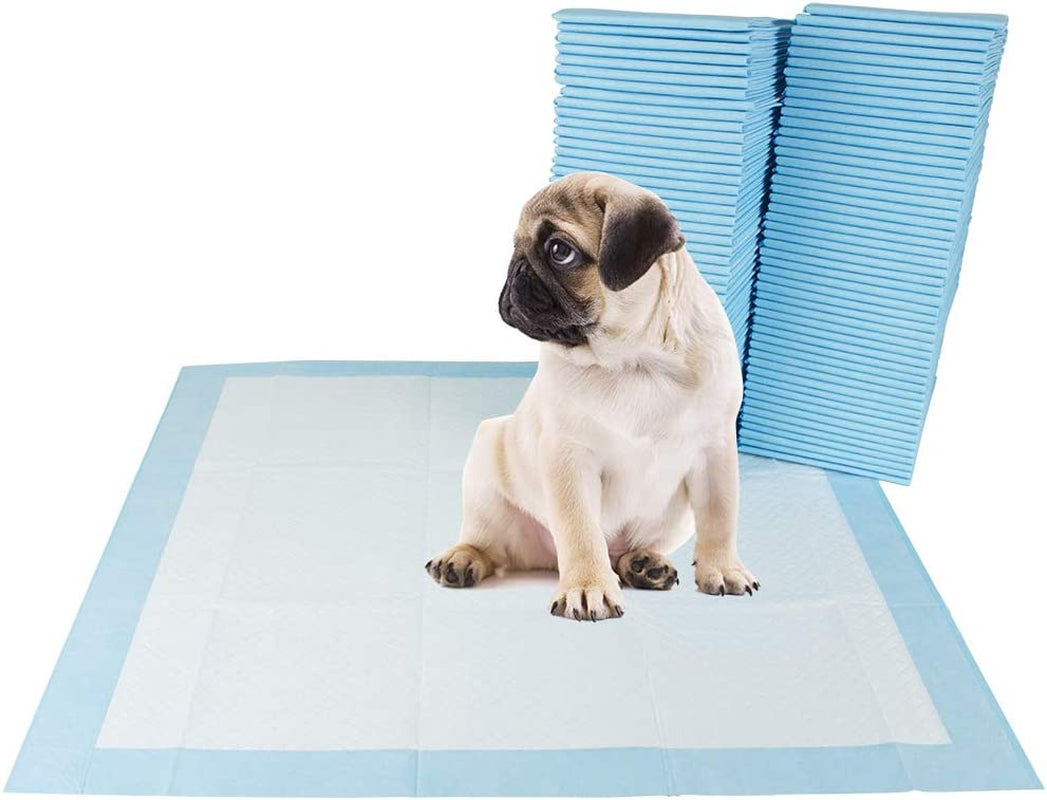 BV Puppy Pads Leak-Proof 600 Count 22"X 22" | Pee Pads for Dogs Quick Absorb 6-Layer- Dog Pee Pads- Dog Pads 600 Pack- Potty Pads for Dogs- Puppy Pee Pads, Pee Pad Training Pads for Dogs, Pet Pee Pads